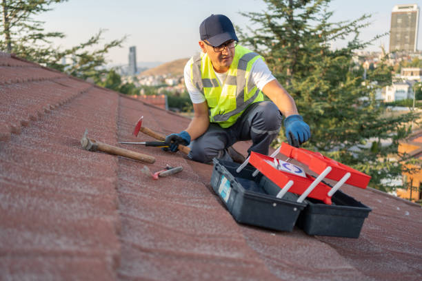 Best Property Management Cleanouts  in Blasdell, NY